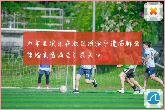 加布里埃尔在激烈拼抢中遭遇脚面踩踏表情痛苦引发关注