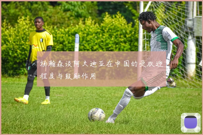杨瀚森谈阿夫迪亚在中国的受欢迎程度与鼓励作用